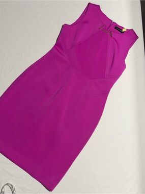 Ivanka Trump Fuchsia Midi Sheath Dress